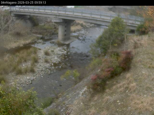 最新監視カメラ画像