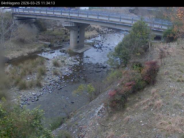 最新監視カメラ画像