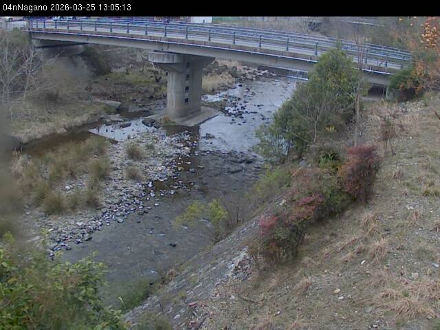 最新監視カメラ画像