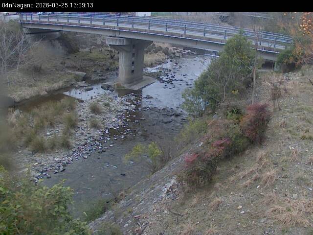 最新監視カメラ画像