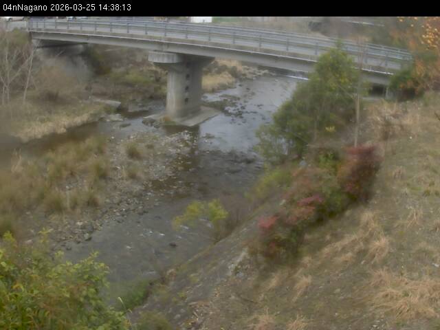 最新監視カメラ画像