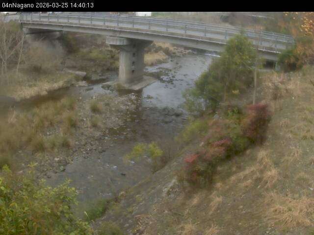 最新監視カメラ画像