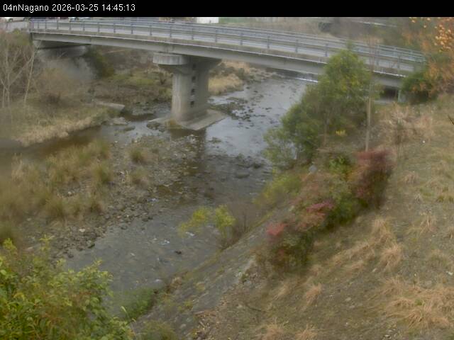 最新監視カメラ画像