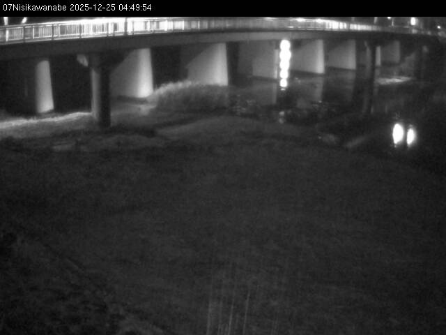 最新監視カメラ画像