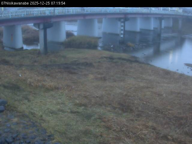 最新監視カメラ画像