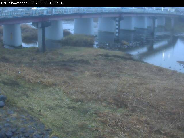 最新監視カメラ画像