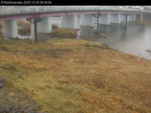 最新監視カメラ画像