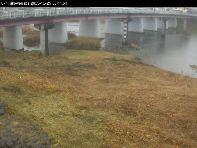 最新監視カメラ画像