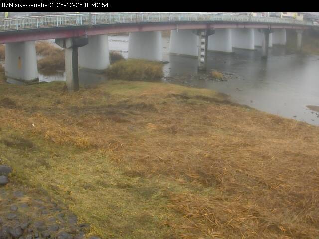 最新監視カメラ画像