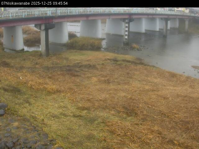 最新監視カメラ画像