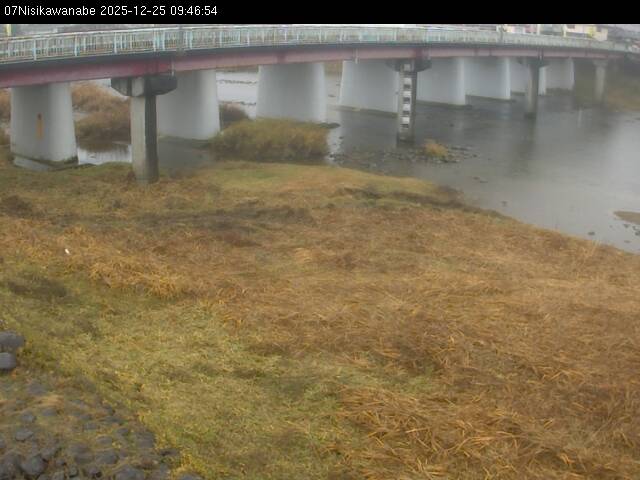 最新監視カメラ画像