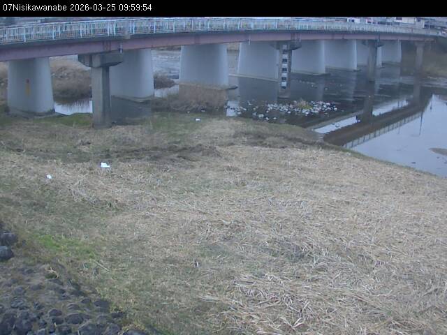 最新監視カメラ画像