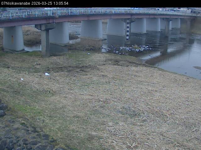 最新監視カメラ画像