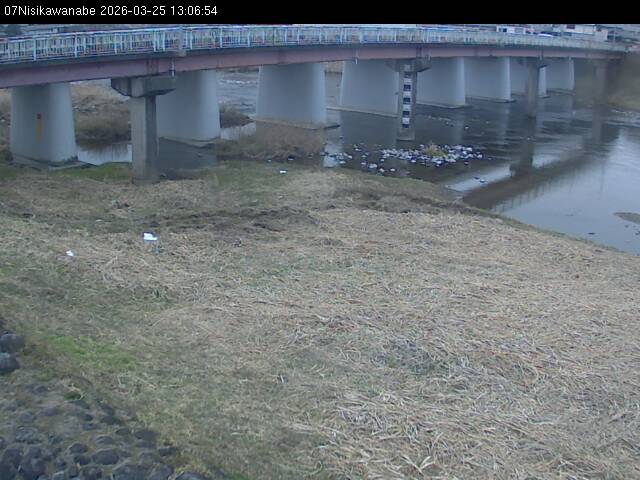 最新監視カメラ画像