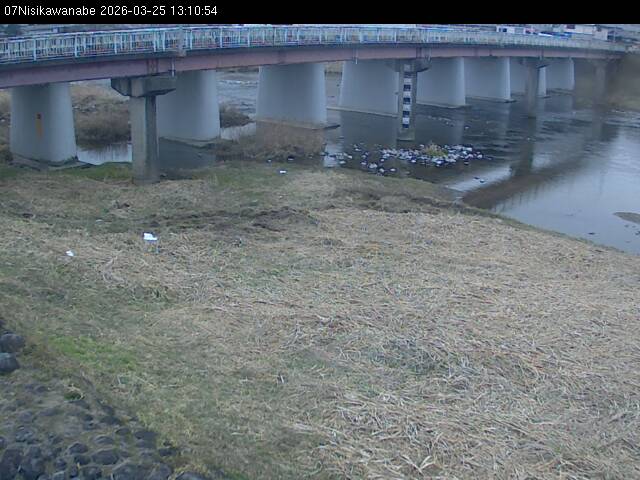 最新監視カメラ画像