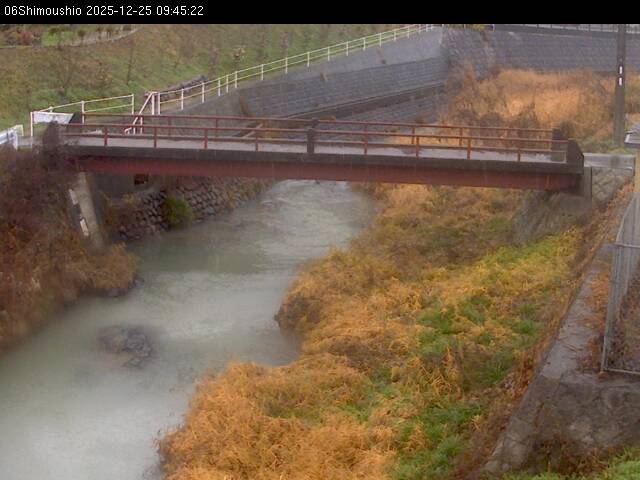 最新監視カメラ画像