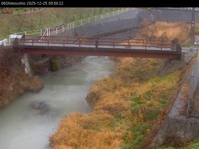 最新監視カメラ画像