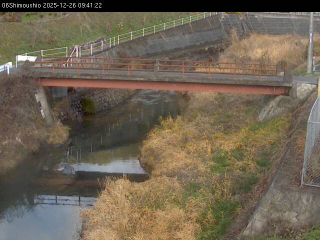 最新監視カメラ画像