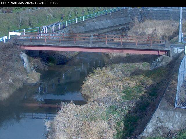 最新監視カメラ画像