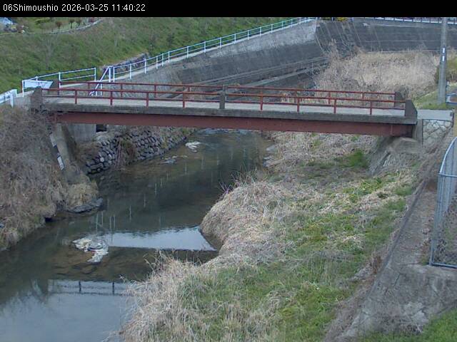 最新監視カメラ画像