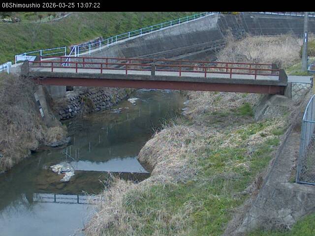 最新監視カメラ画像