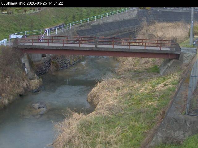 最新監視カメラ画像