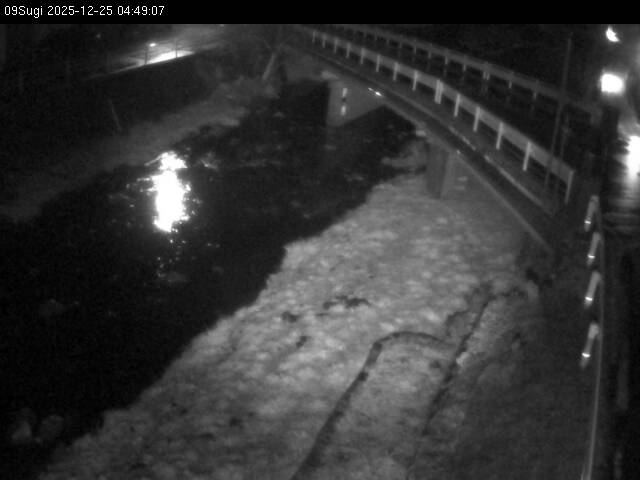 最新監視カメラ画像