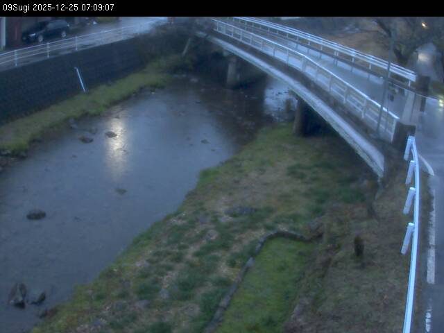 最新監視カメラ画像