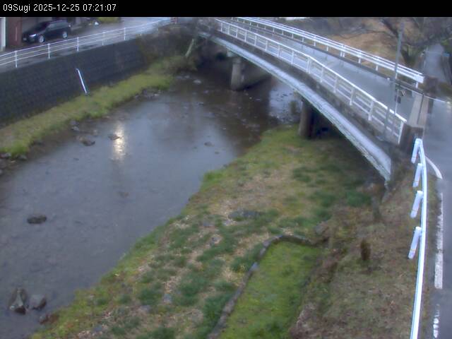 最新監視カメラ画像