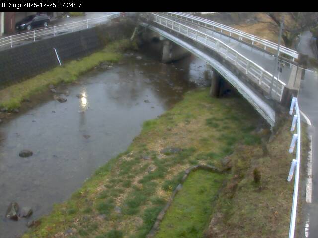 最新監視カメラ画像