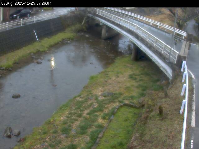 最新監視カメラ画像