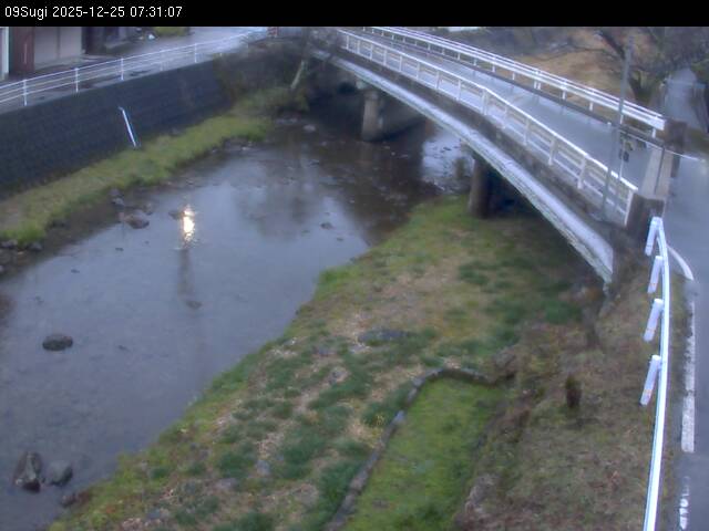 最新監視カメラ画像