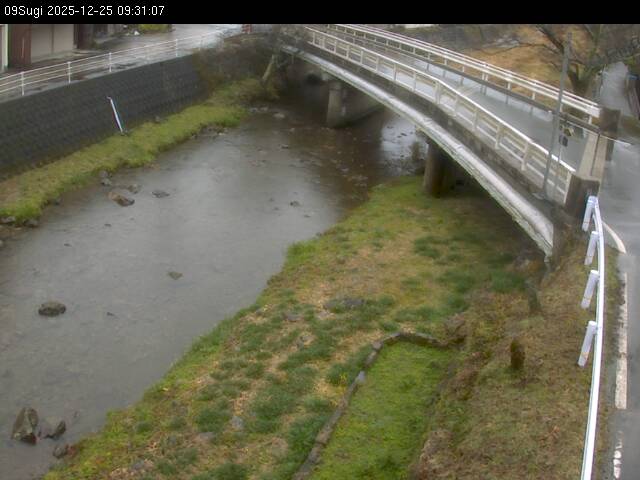 最新監視カメラ画像