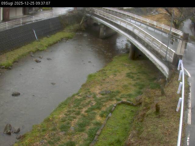 最新監視カメラ画像