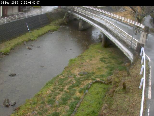 最新監視カメラ画像