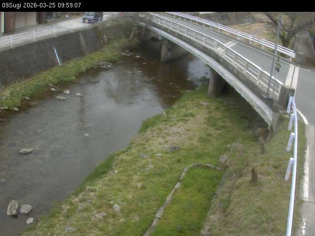 最新監視カメラ画像