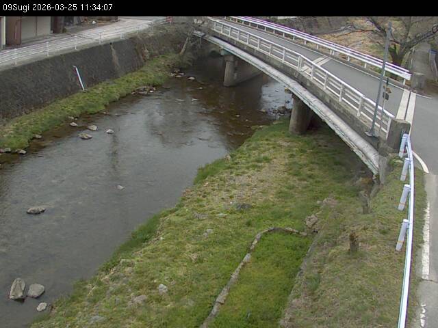 最新監視カメラ画像