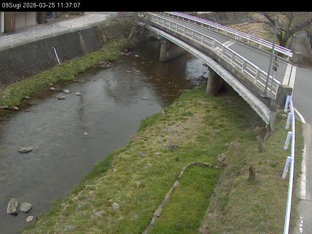 最新監視カメラ画像