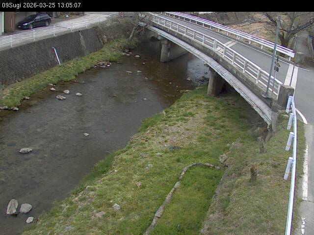 最新監視カメラ画像