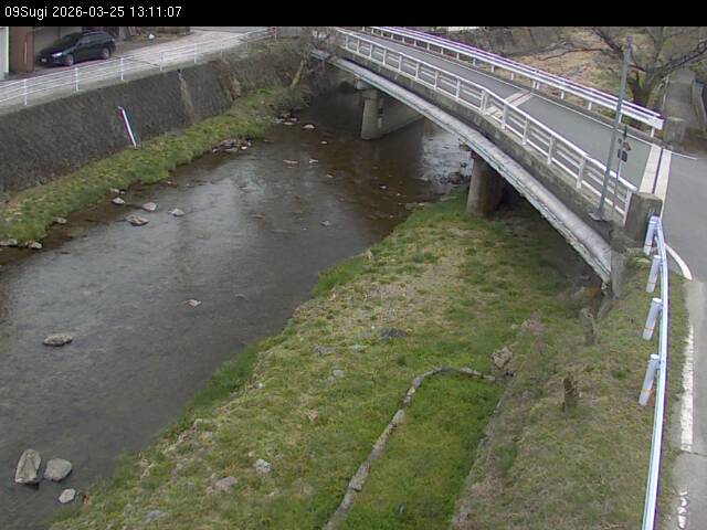 最新監視カメラ画像