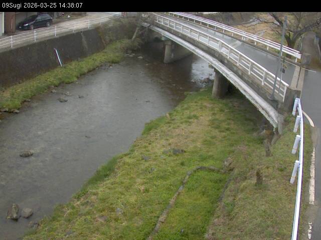 最新監視カメラ画像