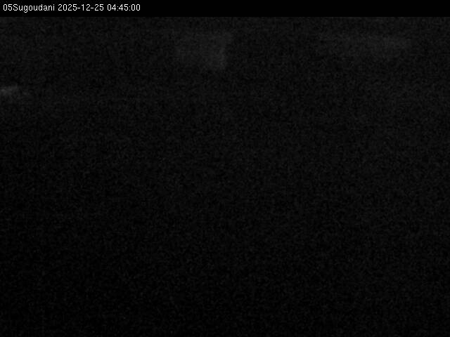 最新監視カメラ画像