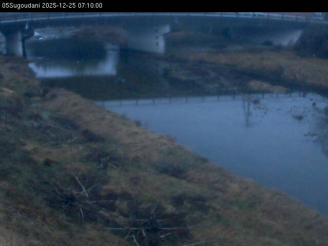 最新監視カメラ画像