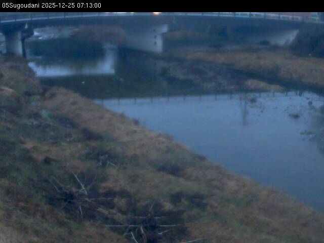 最新監視カメラ画像