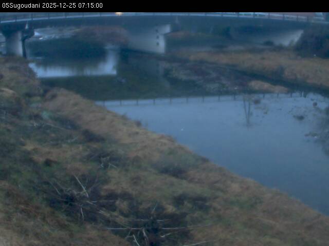 最新監視カメラ画像