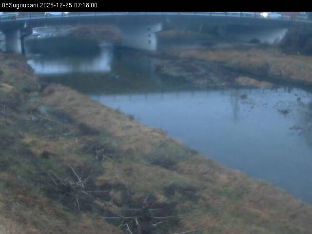 最新監視カメラ画像