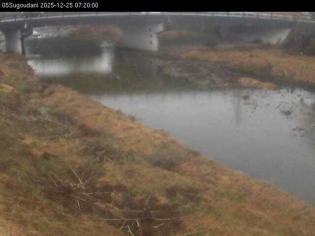 最新監視カメラ画像