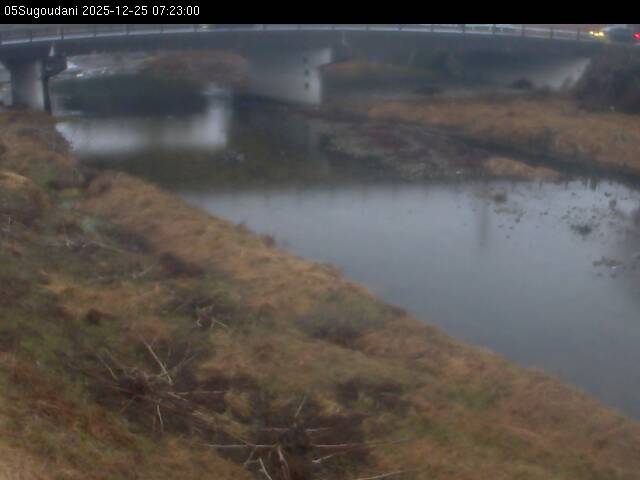 最新監視カメラ画像