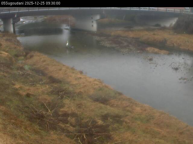 最新監視カメラ画像