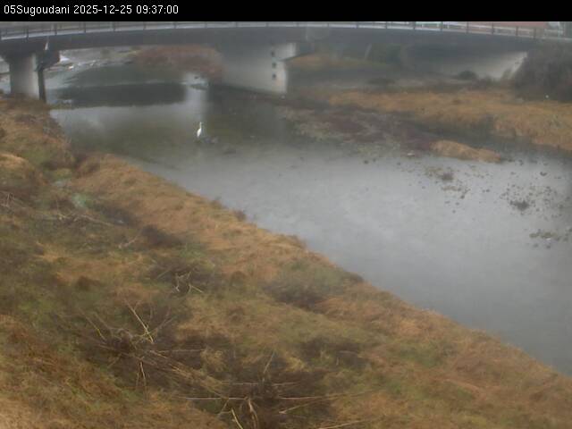 最新監視カメラ画像